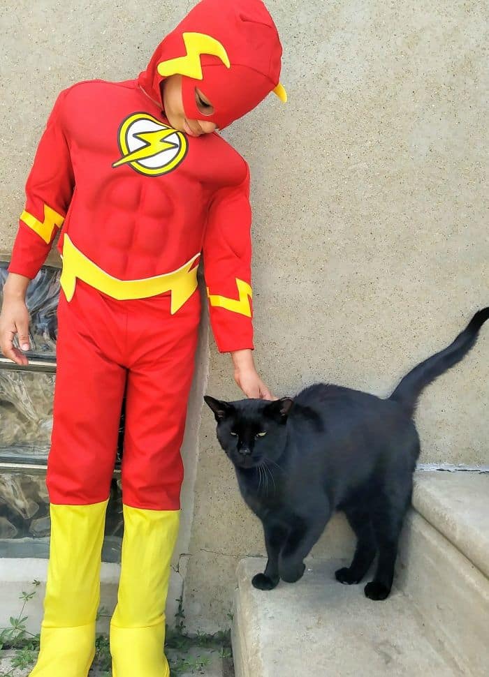 The 5-Year-Old Superhero Who Helps Homeless Cats is called Catman 6