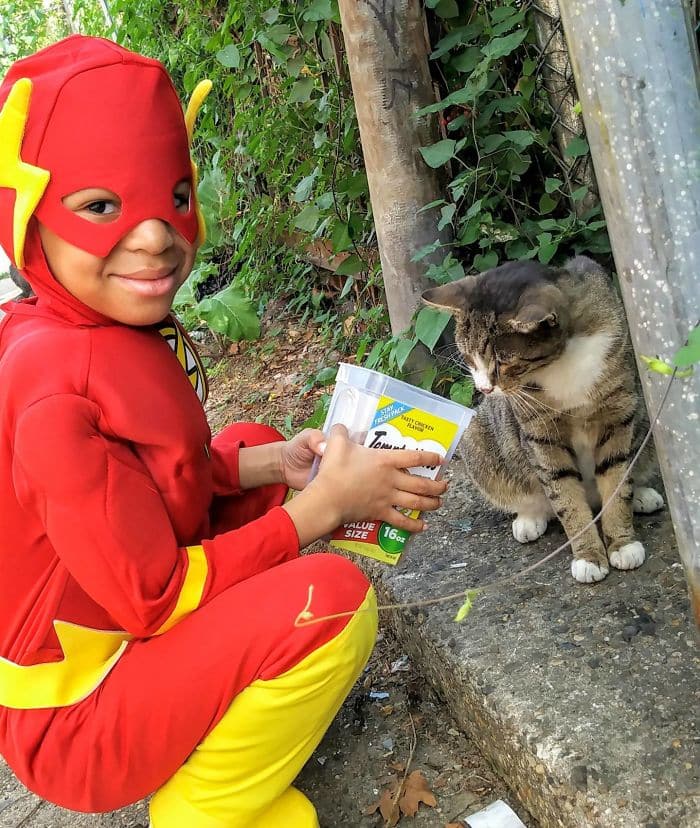 The 5-Year-Old Superhero Who Helps Homeless Cats is called Catman 8