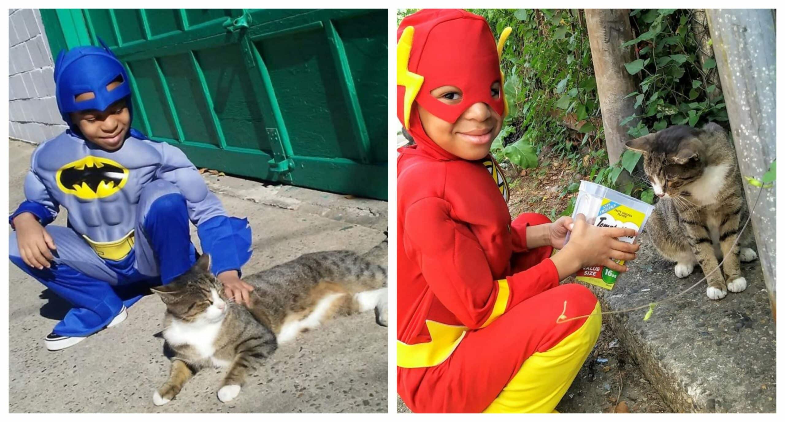 The 5-Year-Old Superhero Who Helps Homeless Cats is called Catman