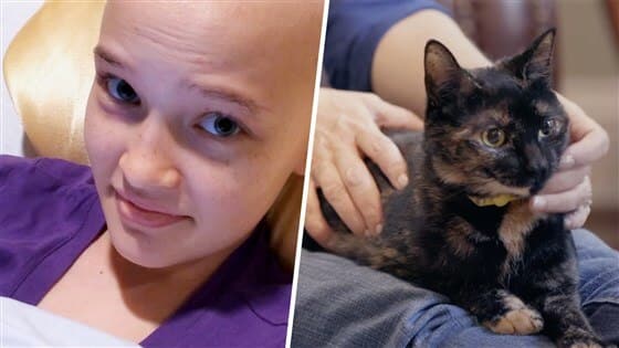 The dying girl is comforted by the rescue cat who also helps the rest of her family hea 3