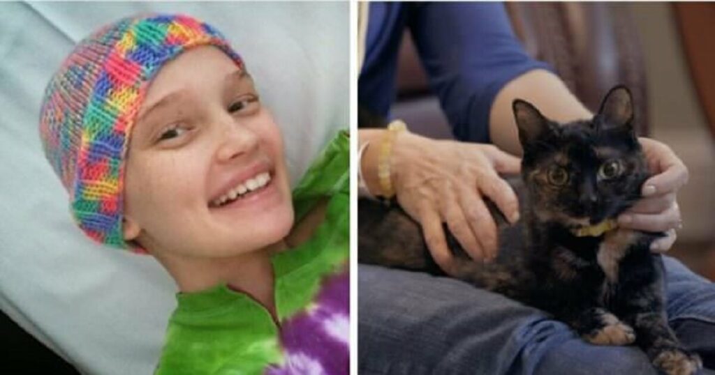The dying girl is comforted by the rescue cat who also helps the rest of her family heal 1