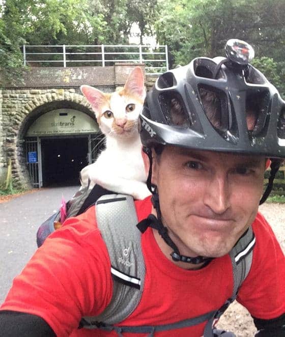 This Sweet Cat Welcomes Cyclist In The Cutest Way 10
