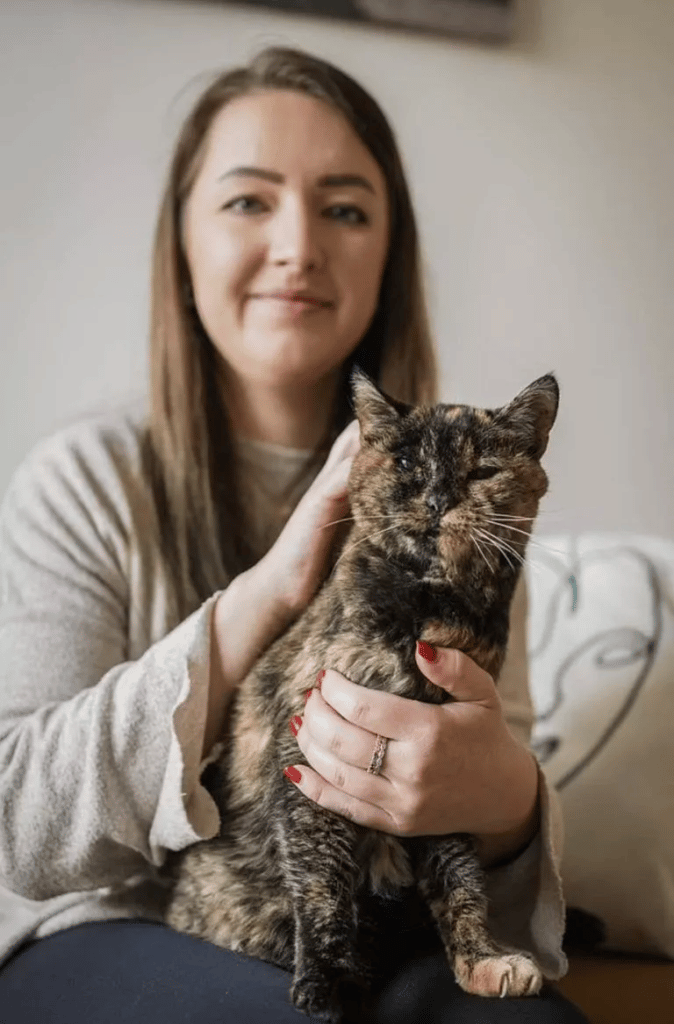 This is Flossie! officially the oldest living cat in the world 3