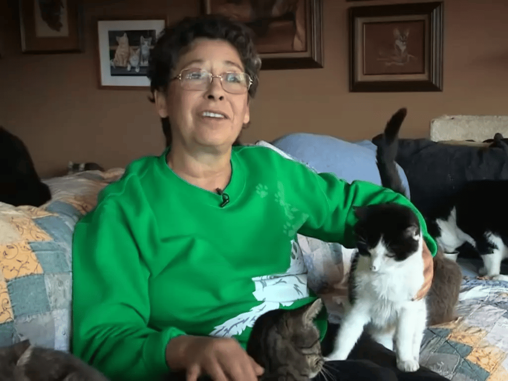 View the sight of the home where a woman keeps more than 1,000 cats 2