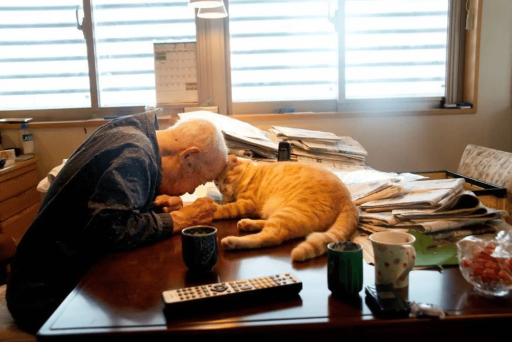 A Grandpa and His Cat's Special Bond Is Captured in Photos 3