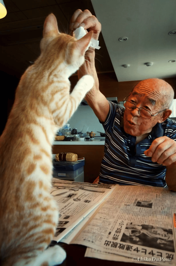 A Grandpa and His Cat's Special Bond Is Captured in Photos 4