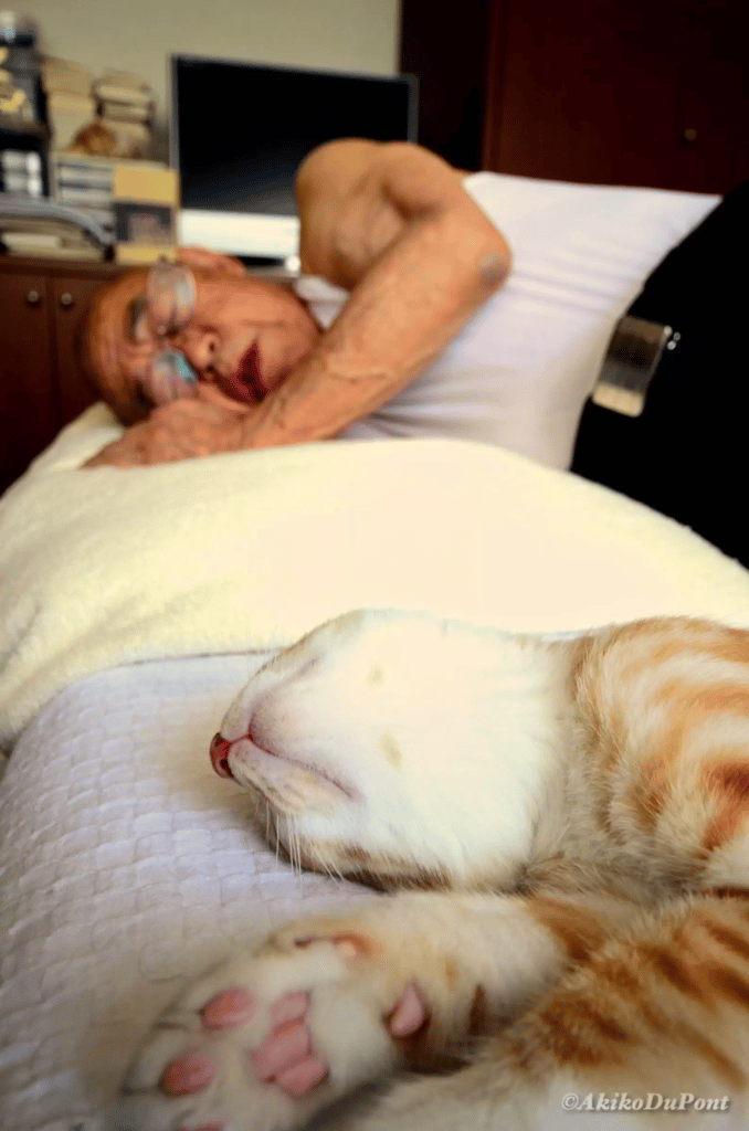 A Grandpa and His Cat's Special Bond Is Captured in Photos 5