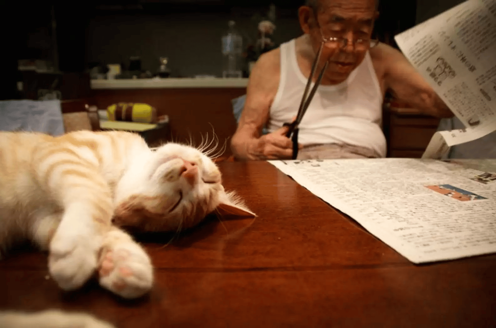 A Grandpa and His Cat's Special Bond Is Captured in Photos 7