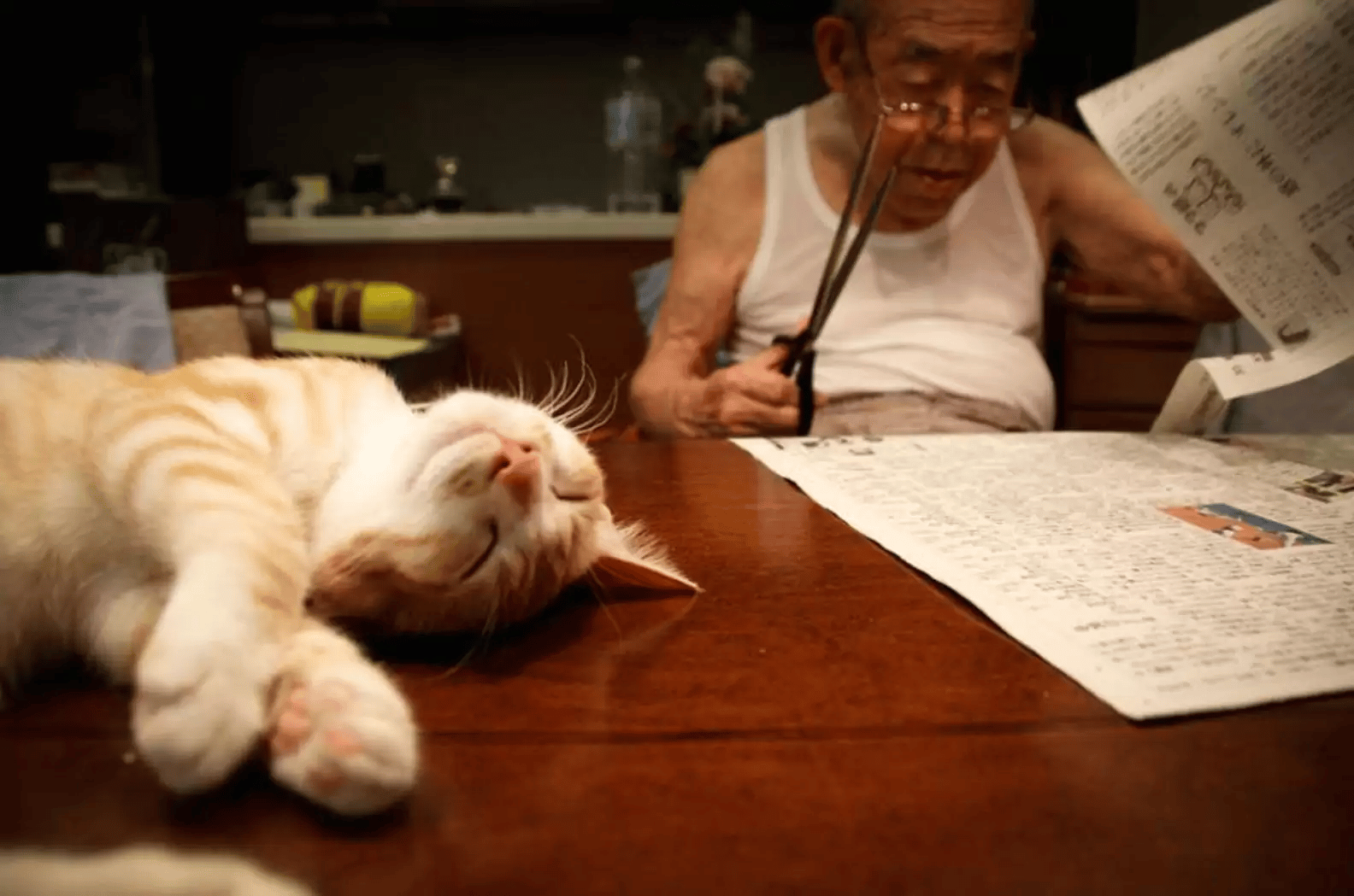 A Grandpa and His Cat’s Special Bond Is Captured in Photos