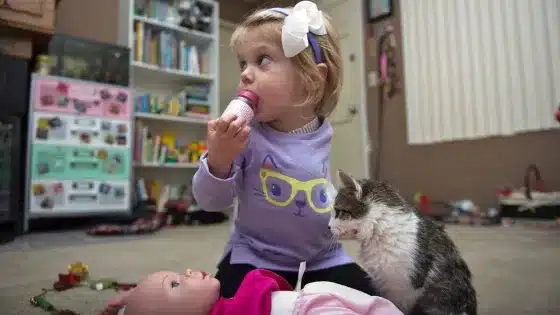 A kitten missing a limb is adopted by a girl who lost an arm 2