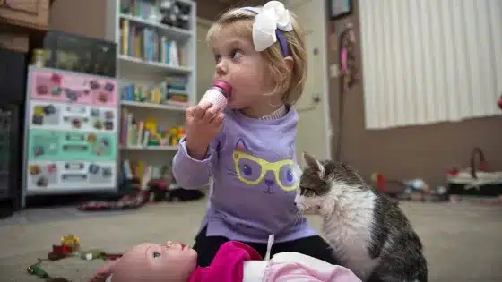 A kitten missing a limb is adopted by a girl who lost an arm