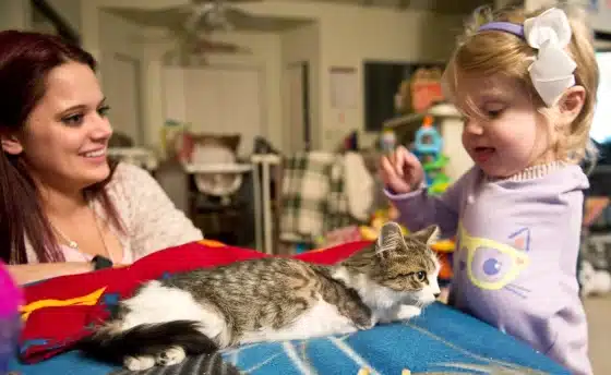 A kitten missing a limb is adopted by a girl who lost an arm 3