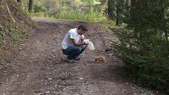 A man simply will not give up on a cat that was saved from the woods 1