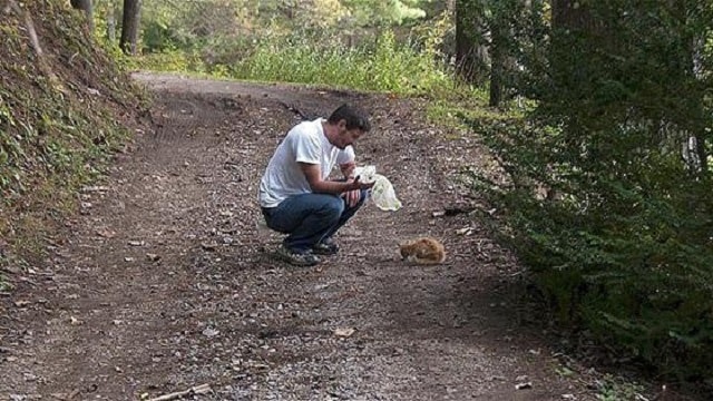 A man simply will not give up on a cat that was saved from the woods!