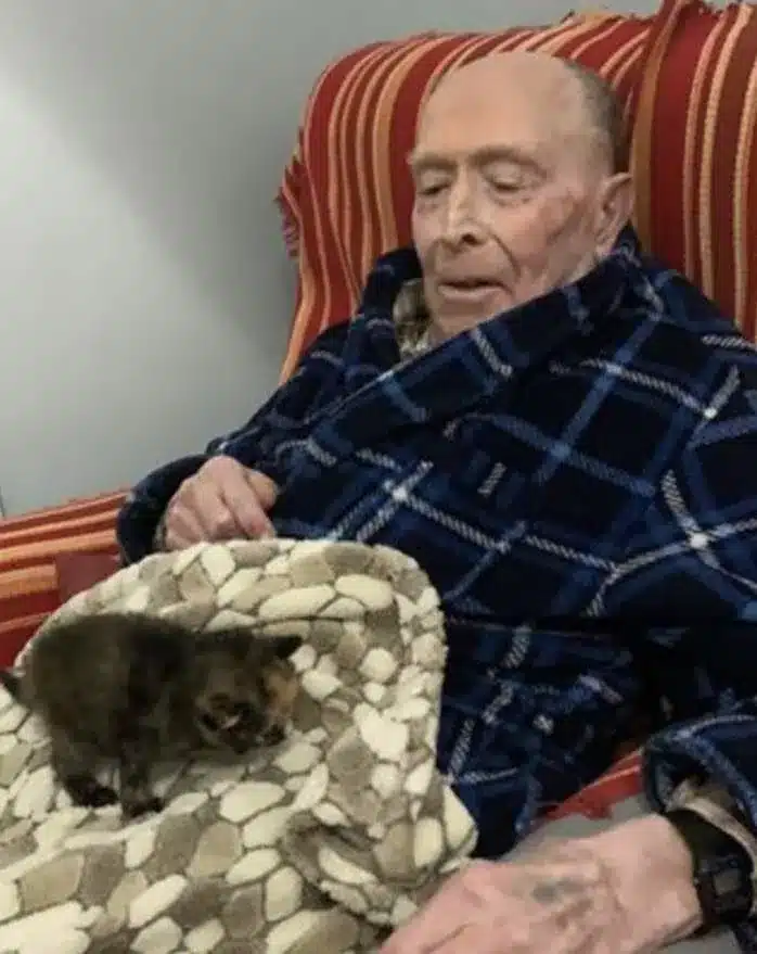 A stray kitten adopts a grandpa who is 100 years old and the two become best friends 4