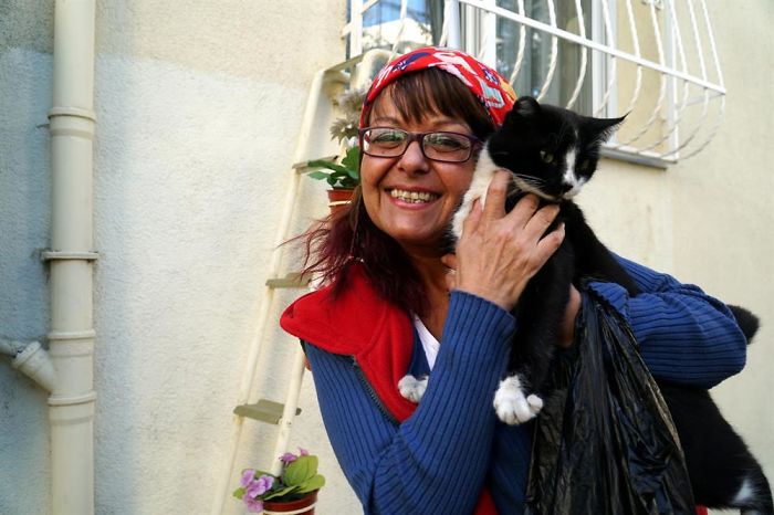 A woman creates a cat ladder so stray cats can enter from the cold 3