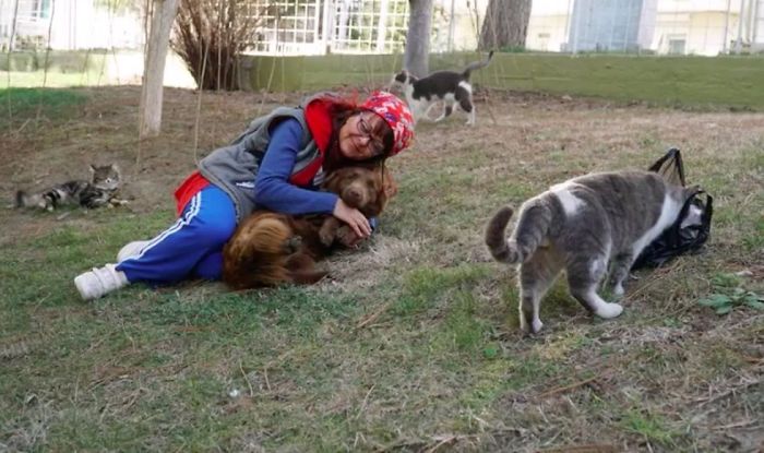 A woman creates a cat ladder so stray cats can enter from the cold 6