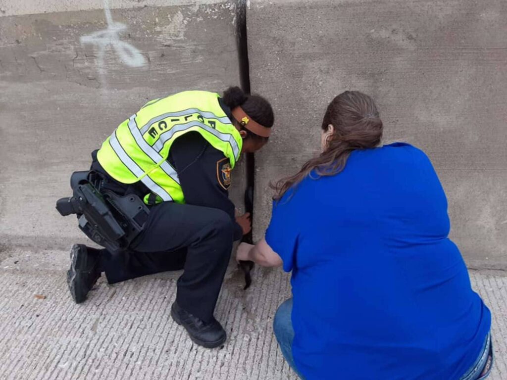 A woman stops to help a kitten she sees trapped on the side of the road 2