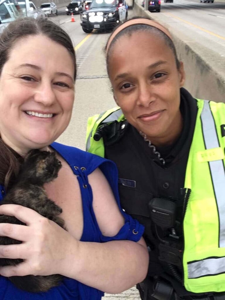 A woman stops to help a kitten she sees trapped on the side of the road 3