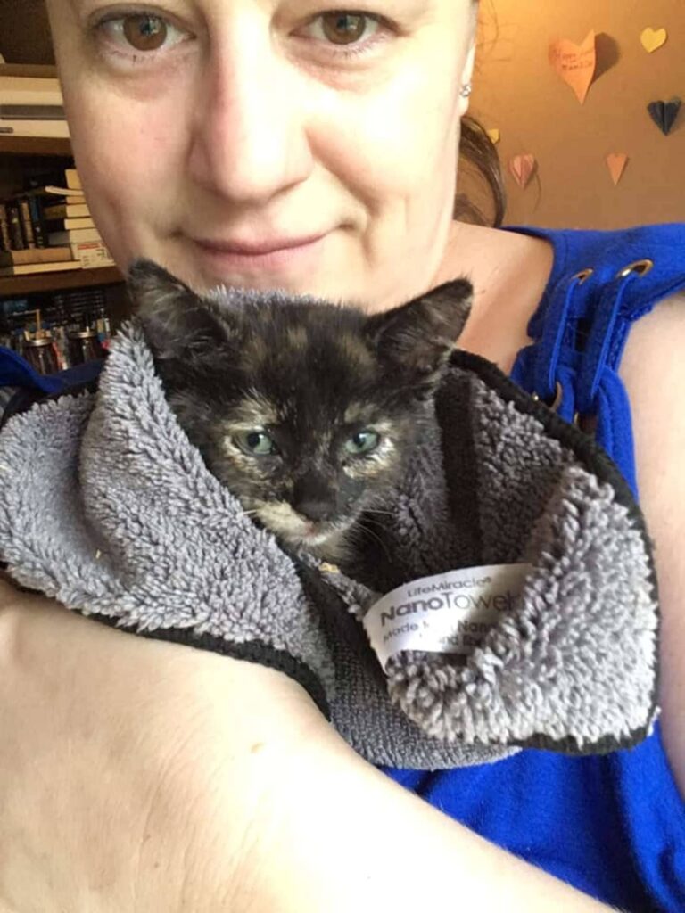 A woman stops to help a kitten she sees trapped on the side of the road 4