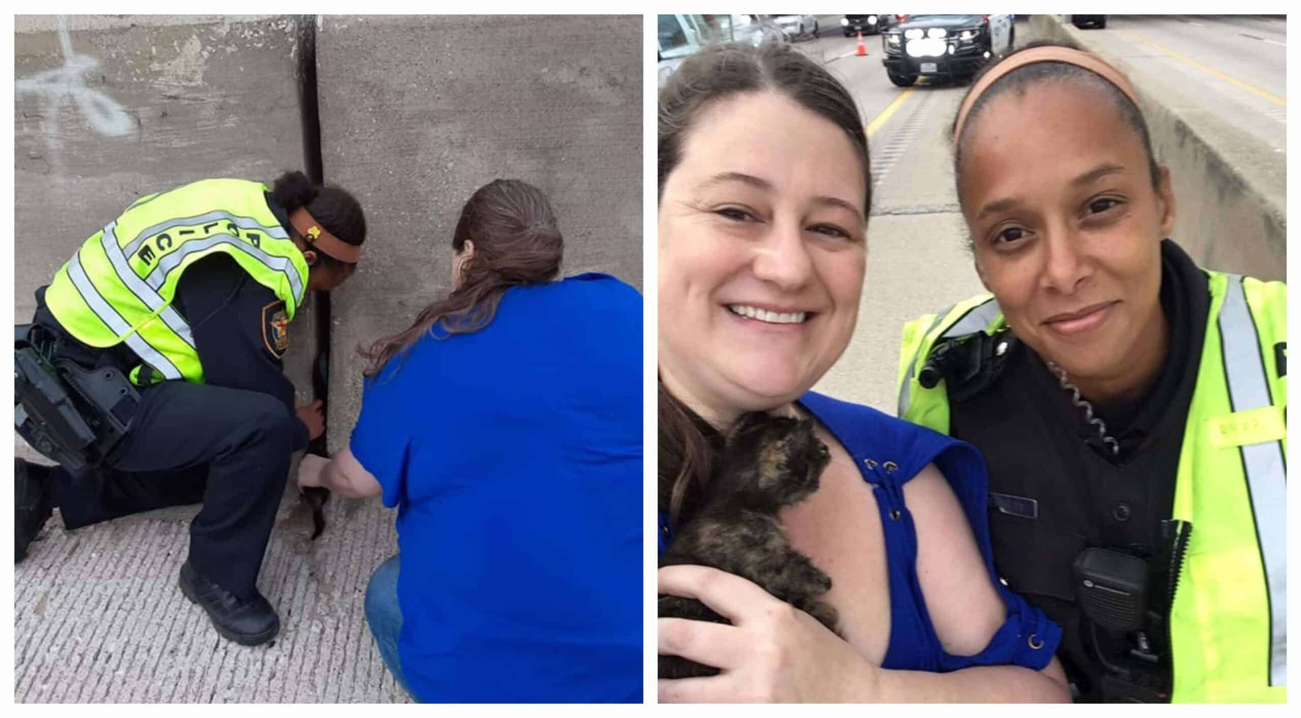 A woman stops to help a kitten she sees trapped on the side of the road