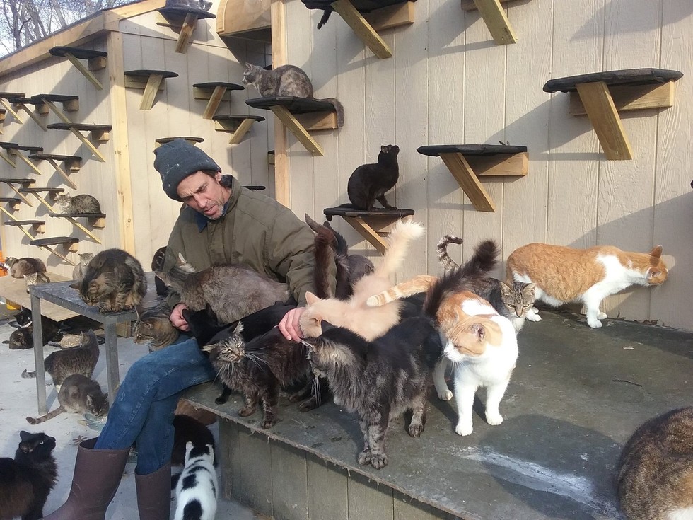 After losing his son a man saves more than 300 cats 1