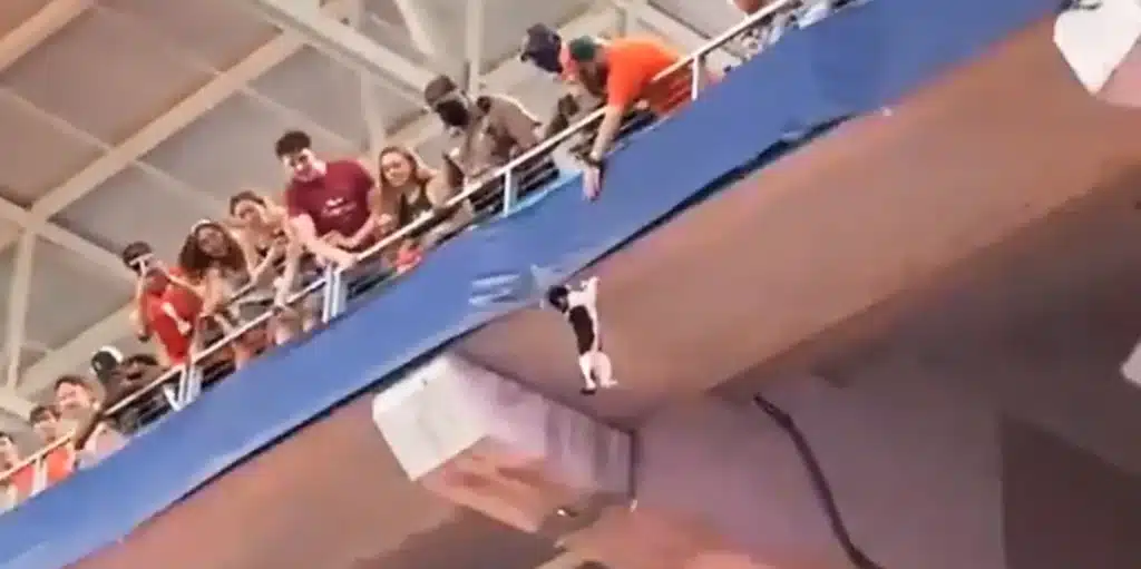 At a football game, an American flag saves a falling cat 1