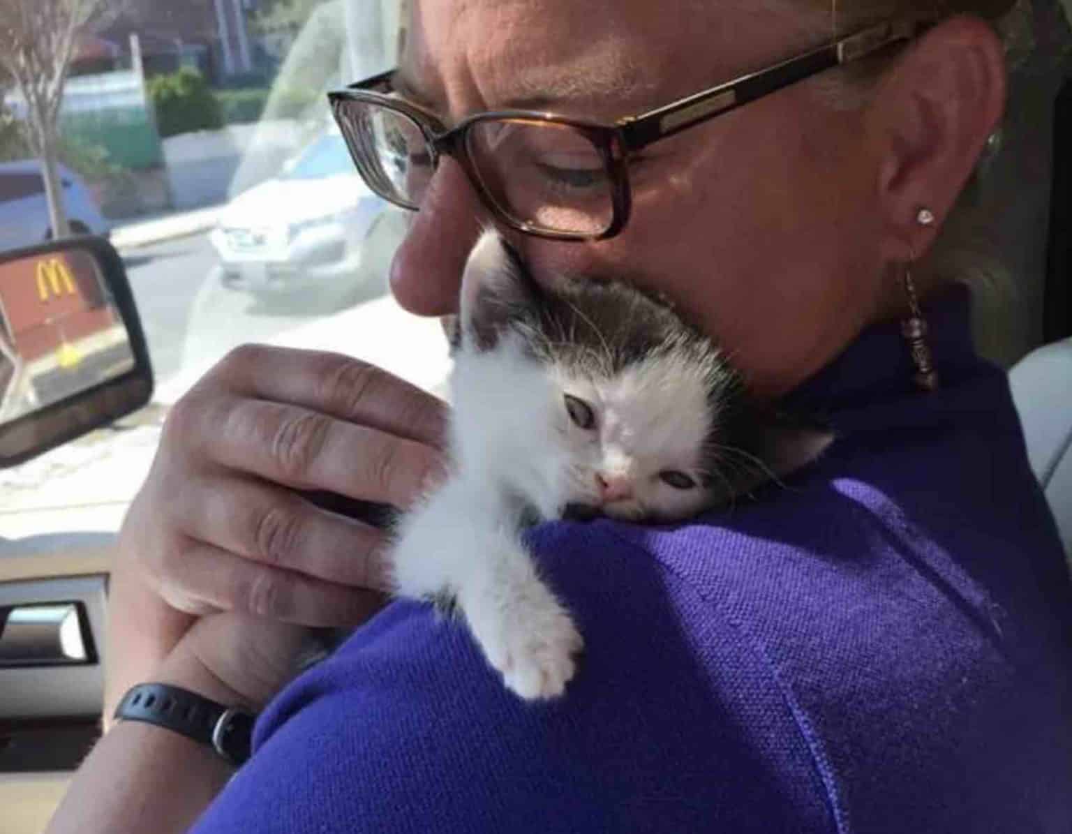 Before he met this woman, no one was interested in adopting a special kitten