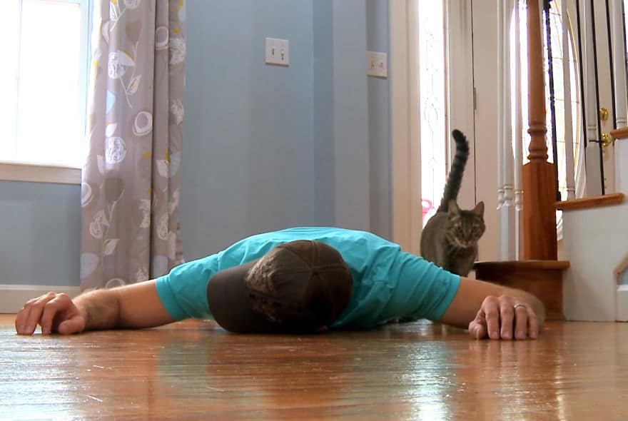 Cat Owner Fakes His Death to See How His Cat Reacts Doesn't Expect This Reaction 4