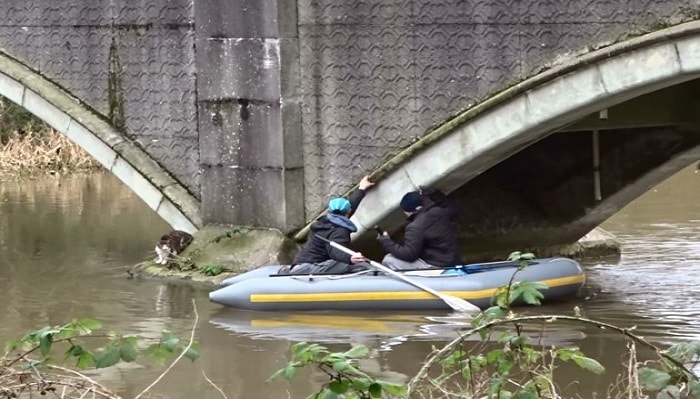 Cat Rescued From Underbridge Trap After Being Missing for 15 Months