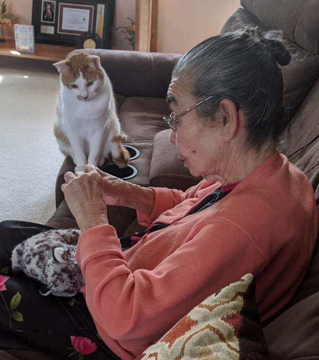 Cat Waits Patiently as Grandma Fixes His Favorite Toy 2