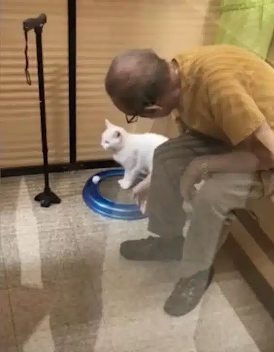 Elderly Man Adopts a Cat to Fight Loneliness After Losing His Wife 3