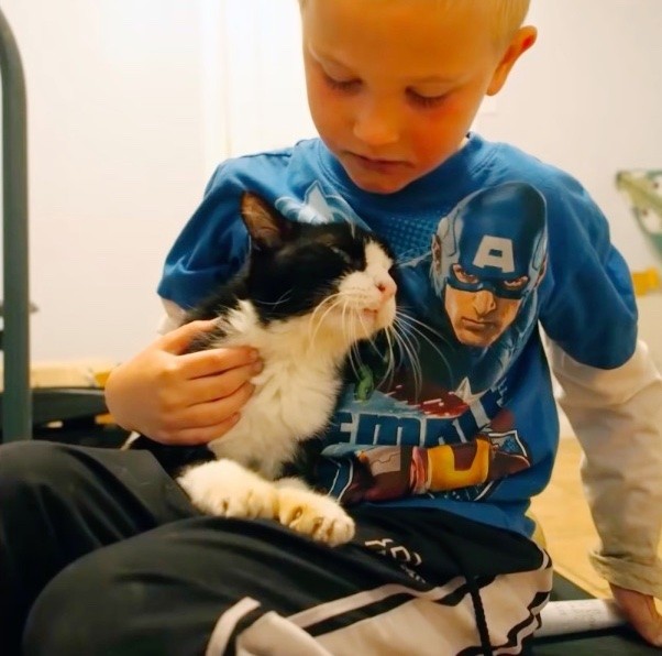 Family never knew how much love a 20-year-old cat from the shelter still had to give 1