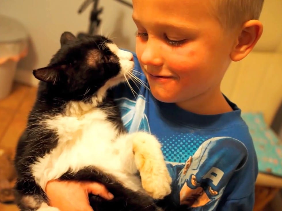 Family never knew how much love a 20-year-old cat from the shelter still had to give 3