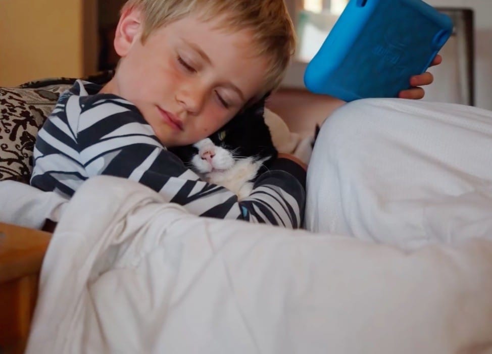 Family never knew how much love a 20-year-old cat from the shelter still had to give 4