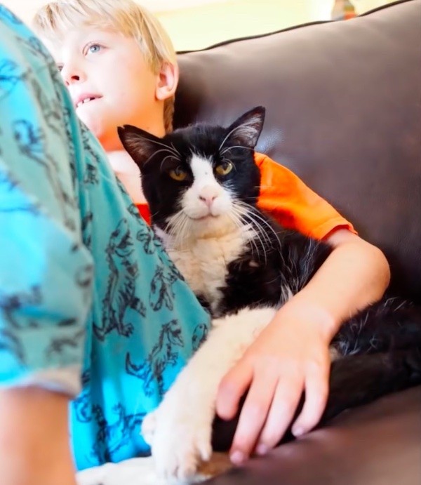 Family never knew how much love a 20-year-old cat from the shelter still had to give 6