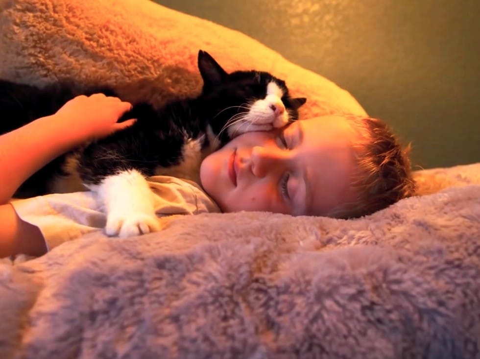 Family never knew how much love a 20-year-old cat from the shelter still had to give