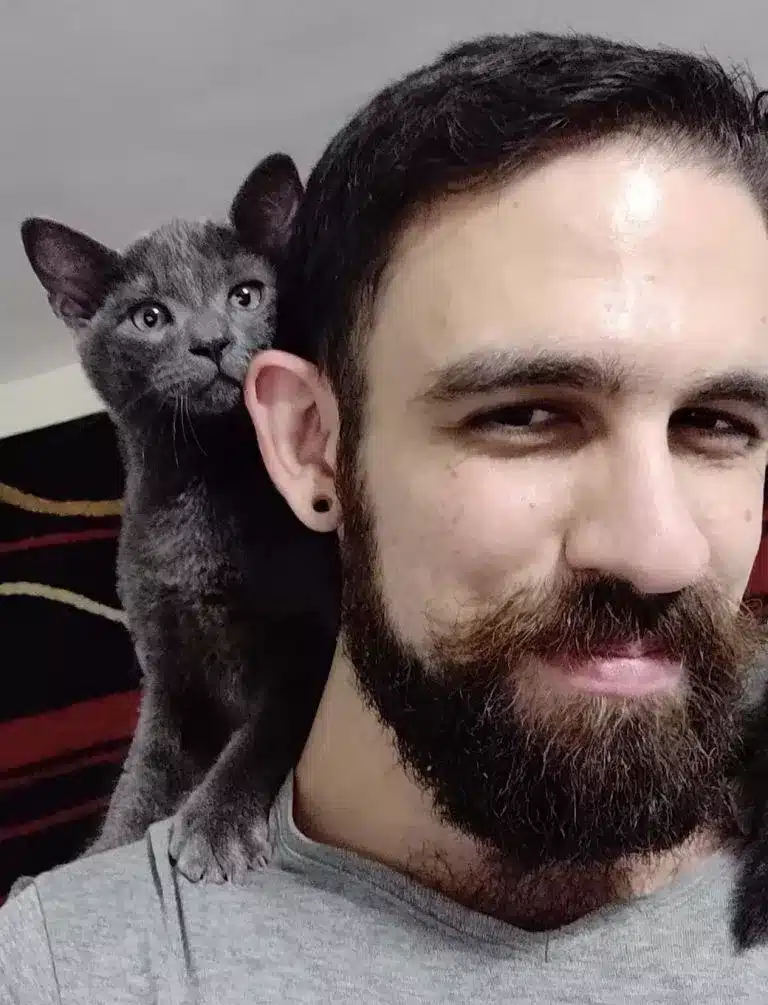 Gray kitten approaches a man and asks for help before refusing to let go 2