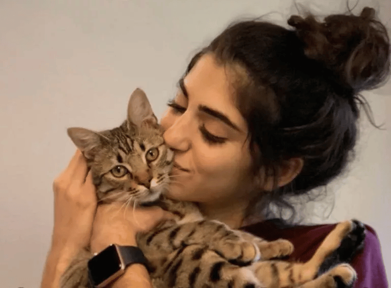 Hero Cat Helps Woman Locked Outside of Home by Opening Door