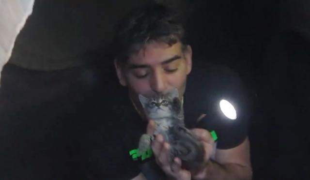 Heroic Man Saves Kitten by Jumping into Storm Drain 2