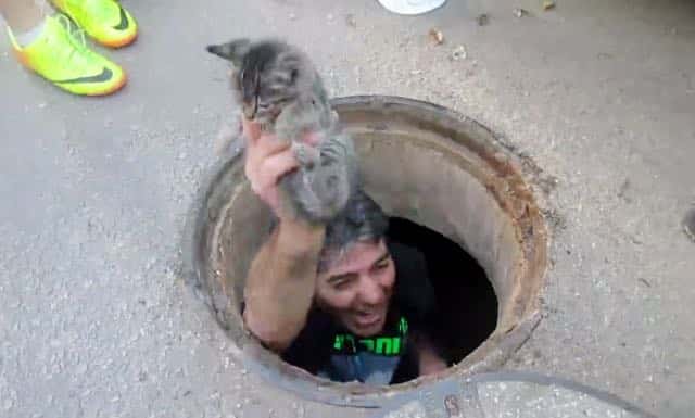 Heroic Man Saves Kitten by Jumping into Storm Drain