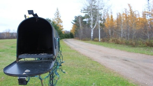 Kittens Caught Left Behind in Family's Mailbox 2