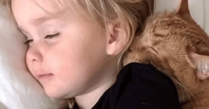 Little Girl Sings to Her Cat as He Passes away 1