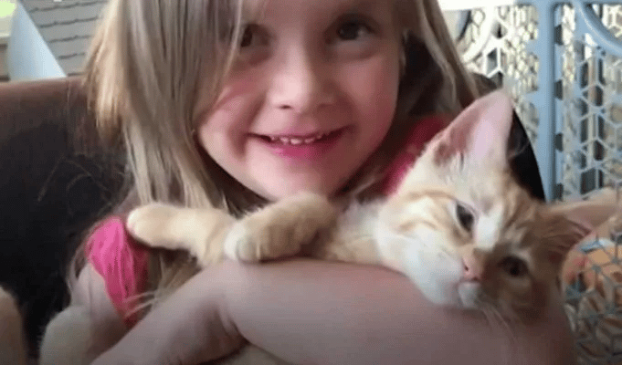 Little Girl Sings to Her Cat as He Passes away 3