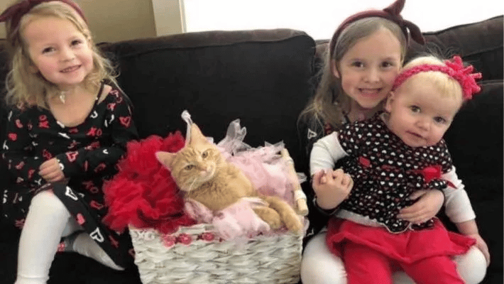 Little Girl Sings to Her Cat as He Passes away 4