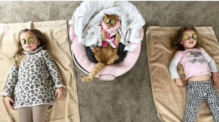 Little Girl Sings to Her Cat as He Passes away 5