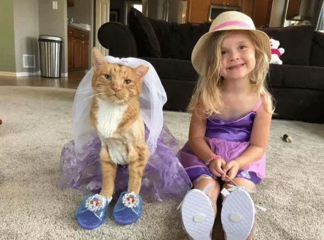 Little Girl Sings to Her Cat as He Passes away 6
