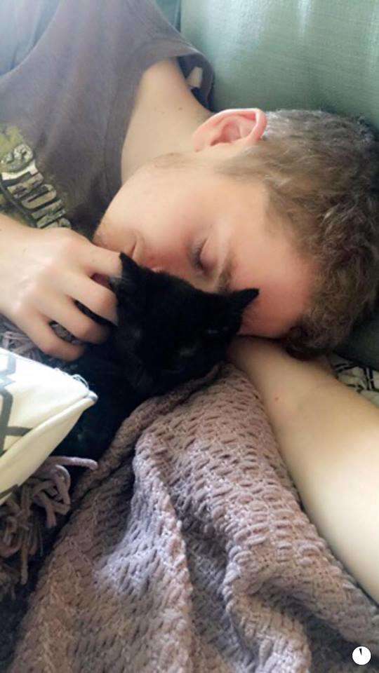 Lovesick Cat Expresses Sweetest Grief Over Owner's Absence 4