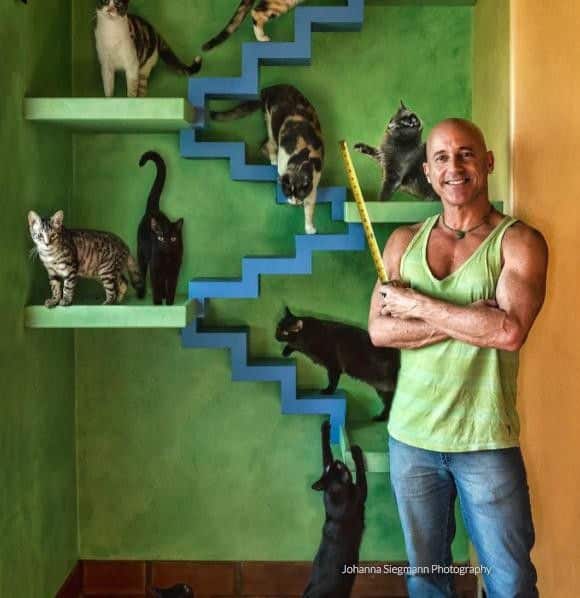 Man Completely Rebuilds the Inside of His House for His 22 Rescue Cats 1