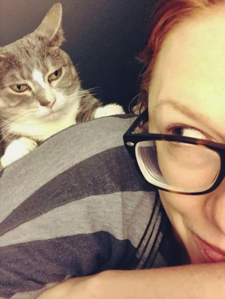 Missing Cat Returned After Being Called A Jerk In Missing Signs 2